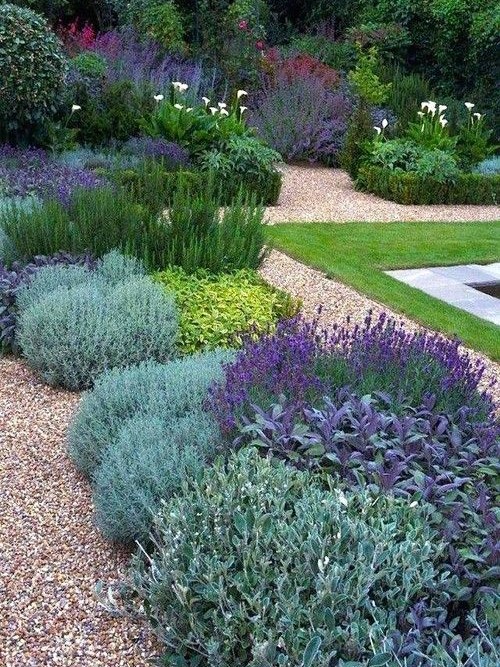 Beautiful established garden grown from tubestock